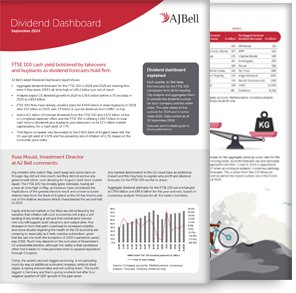 Dividend dashboard preview