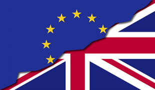 Brexit vote